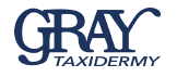 Gray Taxidermy Footer logo